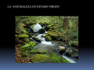LA NATURALEZA EN ESTADO VIRGEN