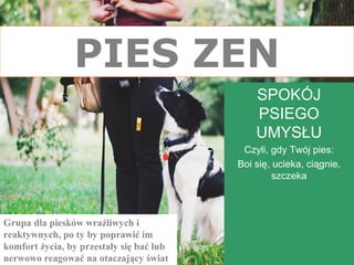 PIES ZEN
SPOKÓJ
PSIEGO
UMYSŁU
Czyli, gdy Twój pies:
Boi się, ucieka, ciągnie,
szczeka
Grupa dla piesków wrażliwych i
reaktywnych, po ty by poprawić im
komfort życia, by przestały się bać lub
nerwowo reagować na otaczający świat
 