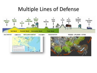 Multiple Lines of Defense
 
