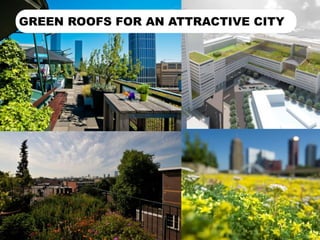GREEN ROOFS FOR AN ATTRACTIVE CITY
 