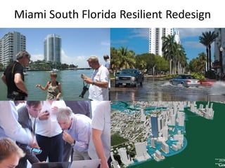 Miami South Florida Resilient Redesign
 