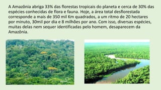 A Amazônia abriga 33% das florestas tropicais do planeta e cerca de 30% das
espécies conhecidas de flora e fauna. Hoje, a área total desflorestada
corresponde a mais de 350 mil Km quadrados, a um ritmo de 20 hectares
por minuto, 30mil por dia e 8 milhões por ano. Com isso, diversas espécies,
muitas delas nem sequer identificadas pelo homem, desaparecem da
Amazônia.
 