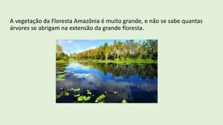 A vegetação da Floresta Amazônia é muito grande, e não se sabe quantas
árvores se abrigam na extensão da grande floresta.
 