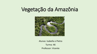 Vegetação da Amazônia
Alunas: Isabella e Pietra
Turma: 46
Professor: Vicente
 