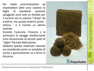 Per molte amministrazioni ed
imprenditori delle aree costiere le
foglie di posidonia oceanica
spiaggiate sono solo un fastidio per
il turismo ed un costoso "rifiuto" da
smaltire, ma questa materia prima altrove - si è rivelata un ottimo
isolante.
Durante l'autunno, l'inverno e la
primavera le spiagge mediterranee
sono disseminate di piccole palle di
"alghe" formate dalla pianta.
Sebbene questo materiale naturale
sia considerato come un prodotto di
scarto e generalmente va a finire in
discarica.

Posidonia oceanica come materiale per l’isolamento.

 