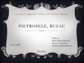 PIETROSELE, BUZAU
University of Agronomic Sciences and Veterinary Medicine
Students:
Mares Raluca-Nicoleta
Neacsu Ana Maria
Stancescu Elena-RamonaGroup: 8202
2015-2016
 