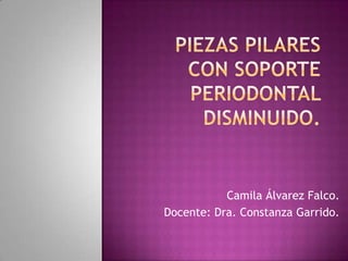 Camila Álvarez Falco.
Docente: Dra. Constanza Garrido.
 