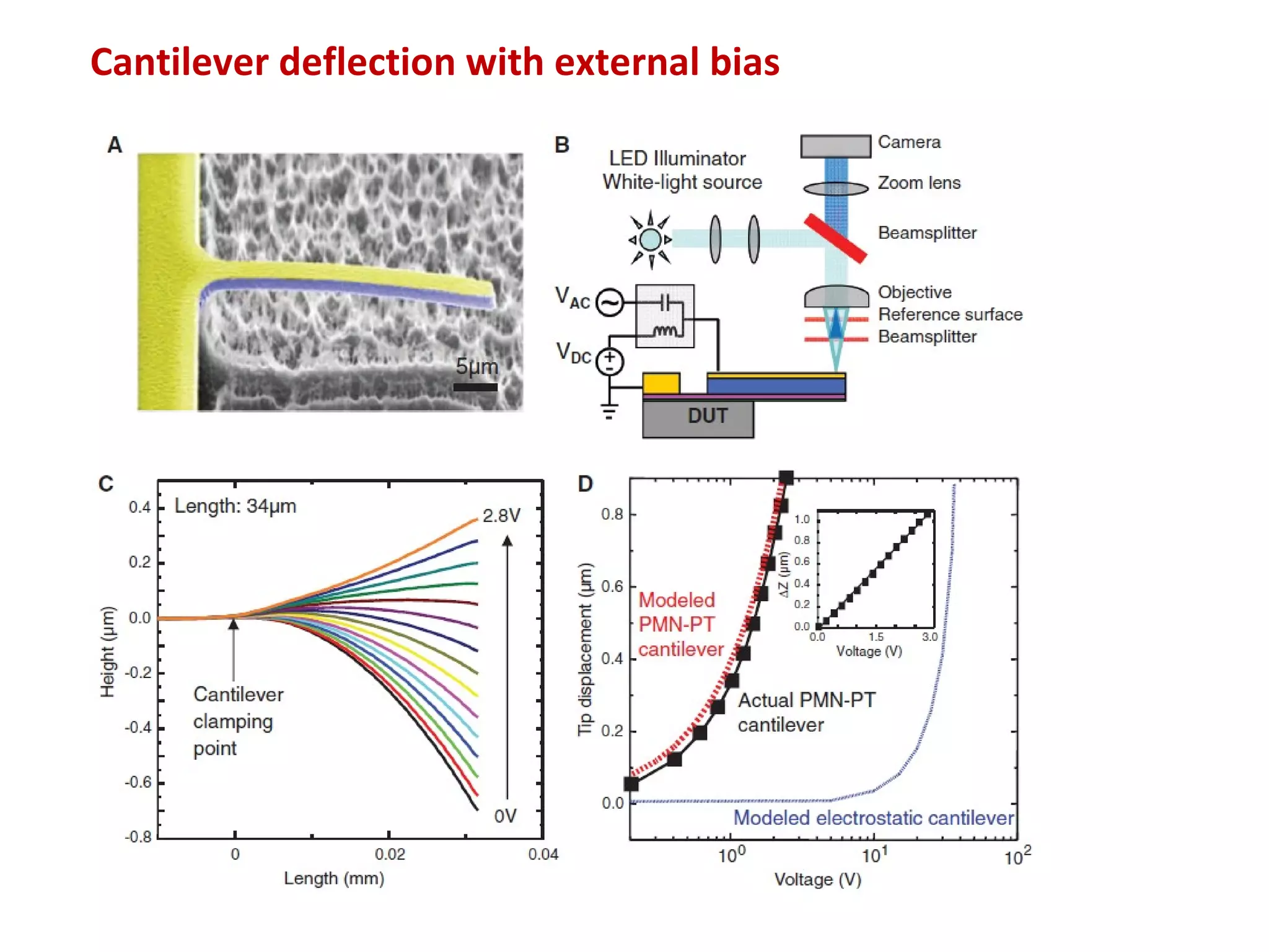 Cantilever deflection with external bias
 
