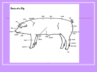 Pig | PPT