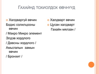 ГАХАЙНД ТОХИОЛДОХ ӨВЧНҮҮД
 Халдваргүй өвчин
Бодис солилцооны
өвчин
/ Макро Микро элемент
Элдэв хордлого
/ Давсны хордлого /
Амьсгалын замын
өвчин
/ Бронхит /
 Халдварт өвчин
 Цусан халдварт
Гахайн мялзан /
 