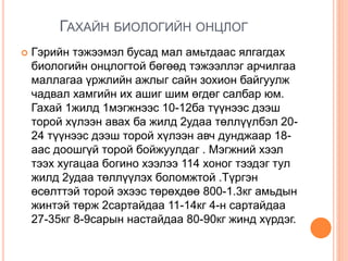 ГАХАЙН БИОЛОГИЙН ОНЦЛОГ
 Гэрийн тэжээмэл бусад мал амьтдаас ялгагдах
биологийн онцлогтой бөгөөд тэжээллэг арчилгаа
маллагаа үржлийн ажлыг сайн зохион байгуулж
чадвал хамгийн их ашиг шим өгдөг салбар юм.
Гахай 1жилд 1мэгжнээс 10-12ба түүнээс дээш
торой хүлээн авах ба жилд 2удаа төллүүлбэл 20-
24 түүнээс дээш торой хүлээн авч дунджаар 18-
аас доошгүй торой бойжуулдаг . Мэгжний хээл
тээх хугацаа богино хээлээ 114 хоног тээдэг тул
жилд 2удаа төллүүлэх боломжтой .Түргэн
өсөлттэй торой эхээс төрөхдөө 800-1.3кг амьдын
жинтэй төрж 2сартайдаа 11-14кг 4-н сартайдаа
27-35кг 8-9сарын настайдаа 80-90кг жинд хүрдэг.
 