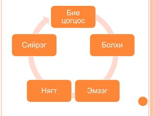 Бие
цогцос
Болхи
ЭмзэгНягт
Сийрэг
 
