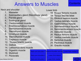Contents
Answers to Muscles
Neck and shoulder
1. Masseter
2. Submaxillary gland (Mandibular gland)
3. Parotid gland
4. Sublingual gland
5. Cleidomastoid muscle
6. Brachiocephalous muscle
7. Sternomastoid muscle
8. Sternohyoid muscle
9. Omohyoid muscle
10. Sternothyroid muscle
11. Trapezius muscle
12. Triceps brachii muscle
13. Deltoid
14. Lattissmus dorsi muscle
15. Digastric muscle
16. Mylohoid
17. Pectoralis
Lower limb
18. Biceps femoris muscle
19. Tensor fasciae latae
20. Gluteus medius muscle
21. Vastius lateralis muscle
22. Gastronemus muscle
23. Semitendinosus muscle
24. Semimembranosis muscle
25. Adductor muscle
26. Rectus femoris muscle
27. Vastius medialis muscle
28. Sartorius muscle
29. Pectineus muscle
30. Gracilis muscle
Neck and shoulder 1
Neck and shoulder 2
Neck and shoulder 3
Lateral shoulder and leg
Lower limb lateral
Lower limb medial 1
Lower limb medial 2
 