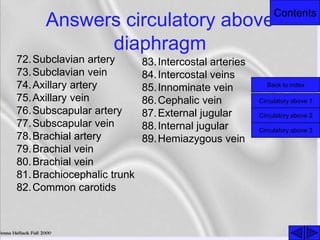 Contents
Answers circulatory above
diaphragm
72.Subclavian artery
73.Subclavian vein
74.Axillary artery
75.Axillary vein
76.Subscapular artery
77.Subscapular vein
78.Brachial artery
79.Brachial vein
80.Brachial vein
81.Brachiocephalic trunk
82.Common carotids
83.Intercostal arteries
84.Intercostal veins
85.Innominate vein
86.Cephalic vein
87.External jugular
88.Internal jugular
89.Hemiazygous vein
Back to index
Circulatory above 1
Circulatory above 2
Circulatory above 3
 