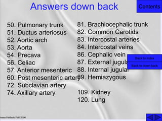 ContentsAnswers down back
50. Pulmonary trunk
51. Ductus arteriosus
52. Aortic arch
53. Aorta
54. Precava
56. Celiac
57. Anterior mesenteric
60. Post mesenteric artery
72. Subclavian artery
74. Axillary artery
81. Brachiocephalic trunk
82. Common Carotids
83. Intercostal arteries
84. Intercostal veins
86. Cephalic vein
87. External jugular
88. Internal jugular
89. Hemiazygous
109. Kidney
120. Lung
Back to index
Back to down back
 