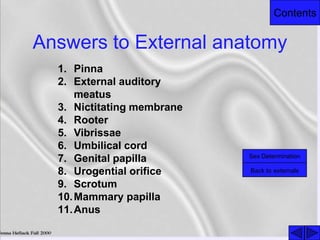 Contents
Answers to External anatomy
1. Pinna
2. External auditory
meatus
3. Nictitating membrane
4. Rooter
5. Vibrissae
6. Umbilical cord
7. Genital papilla
8. Urogential orifice
9. Scrotum
10.Mammary papilla
11.Anus
Back to externals
Sex Determination
 