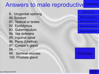 Contents
Answers to male reproductive
8. Urogential opening
90.Scrotum
91. Testical or testes
92. Epididymus
93. Gubernaculum
94. Vas deferens
95. Inguinal canal
96. Penis (Urethra)
97. Cowper’s gland
98.--
99. Seminal vesicles
100. Prostate gland
Back to index
Male reproductive 1
Male reproductive 2
Male reproductive 3
Male reproductive 4
End show
 