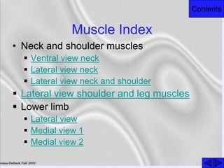 Contents
Muscle Index
• Neck and shoulder muscles
 Ventral view neck
 Lateral view neck
 Lateral view neck and shoulder
 Lateral view shoulder and leg muscles
 Lower limb
 Lateral view
 Medial view 1
 Medial view 2
 