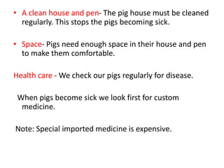 • A clean house and pen- The pig house must be cleaned
regularly. This stops the pigs becoming sick.
• Space- Pigs need enough space in their house and pen
to make them comfortable.
Health care - We check our pigs regularly for disease.
When pigs become sick we look first for custom
medicine.
Note: Special imported medicine is expensive.
 