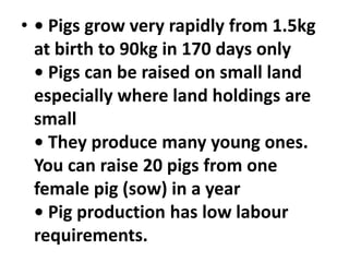• • Pigs grow very rapidly from 1.5kg
at birth to 90kg in 170 days only
• Pigs can be raised on small land
especially where land holdings are
small
• They produce many young ones.
You can raise 20 pigs from one
female pig (sow) in a year
• Pig production has low labour
requirements.
 