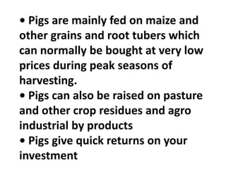 • Pigs are mainly fed on maize and
other grains and root tubers which
can normally be bought at very low
prices during peak seasons of
harvesting.
• Pigs can also be raised on pasture
and other crop residues and agro
industrial by products
• Pigs give quick returns on your
investment
 