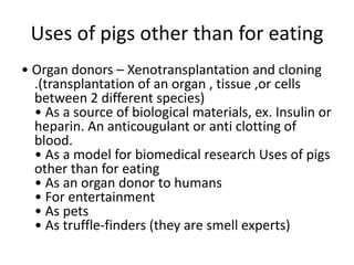 Uses of pigs other than for eating
• Organ donors – Xenotransplantation and cloning
.(transplantation of an organ , tissue ,or cells
between 2 different species)
• As a source of biological materials, ex. Insulin or
heparin. An anticougulant or anti clotting of
blood.
• As a model for biomedical research Uses of pigs
other than for eating
• As an organ donor to humans
• For entertainment
• As pets
• As truffle-finders (they are smell experts)
 