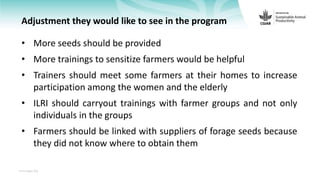 Feedback on Livestock CRP MorePork project innovations to guide the design of SAPLING innovation packages