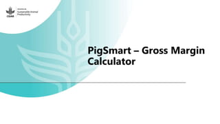 Feedback on Livestock CRP MorePork project innovations to guide the design of SAPLING innovation packages