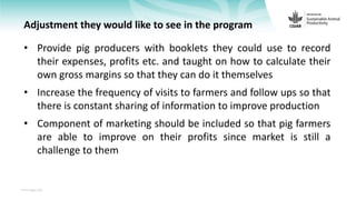 Feedback on Livestock CRP MorePork project innovations to guide the design of SAPLING innovation packages