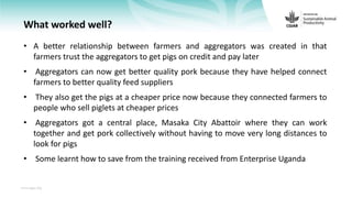 Feedback on Livestock CRP MorePork project innovations to guide the design of SAPLING innovation packages