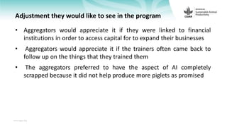 Feedback on Livestock CRP MorePork project innovations to guide the design of SAPLING innovation packages