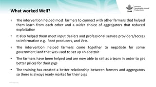 Feedback on Livestock CRP MorePork project innovations to guide the design of SAPLING innovation packages