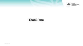 Feedback on Livestock CRP MorePork project innovations to guide the design of SAPLING innovation packages