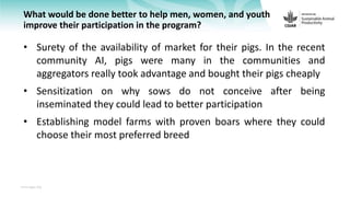 Feedback on Livestock CRP MorePork project innovations to guide the design of SAPLING innovation packages