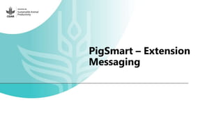 Feedback on Livestock CRP MorePork project innovations to guide the design of SAPLING innovation packages