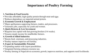Importance of Poultry Farming
1. Nutrition & Food Security
✓Provides affordable, high-quality protein through meat and eggs.
✓Reduces dependency on imported animal protein.
2. Economic Growth & Employment
✓Major agribusiness supporting farmers, traders, and processors.
✓Generates jobs, especially for youth and women.
3. Quick Returns & Low Investment
✓Requires less capital with fast-growing broilers (5-6 weeks).
✓Ensures steady income for smallholder farmers.
4. Growth of Allied Industries
✓Boosts feed, veterinary, and processing industries.
✓Poultry manure improves soil fertility.
5. Export & Sustainability Potential
✓Expanding market with export possibilities.
✓Integrated farming enhances resource use.
✓Poultry farming in Nepal drives economic growth, improves nutrition, and supports rural livelihoods.
 