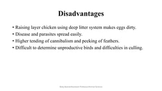 Disadvantages
• Raising layer chicken using deep litter system makes eggs dirty.
• Disease and parasites spread easily.
• Higher tending of cannibalism and peeking of feathers.
• Difficult to determine unproductive birds and difficulties in culling.
Boby Basnet/Assistant Professor/Animal Science
 