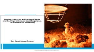 Brooding: Natural and Artificial, egg formation,
selection of eggs for table and incubation purposes,
Factor essential for best hatching
Boby Basnet/Assistant Professor
Boby Basnet/Assistant Professor/Animal Science
 