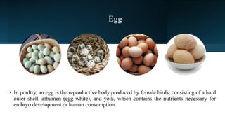 Egg
• In poultry, an egg is the reproductive body produced by female birds, consisting of a hard
outer shell, albumen (egg white), and yolk, which contains the nutrients necessary for
embryo development or human consumption.
 