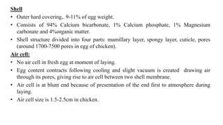 Shell
• Outer hard covering,. 9-11% of egg weight.
• Consists of 94% Calcium bicarbonate, 1% Calcium phosphate, 1% Magnesium
carbonate and 4%organic matter.
• Shell structure divided into four parts: mamillary layer, spongy layer, cuticle, pores
(around 1700-7500 pores in egg of chicken).
Air cell:
• No air cell in fresh egg at moment of laying.
• Egg content contracts following cooling and slight vacuum is created drawing air
through its pores, giving rise to air cell between two shell membrane.
• Air cell is at blunt end because of presentation of the end first to atmosphere during
laying.
• Air cell size is 1.5-2.5cm in chicken.
 