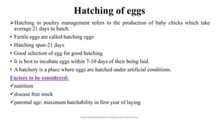 Hatching of eggs
➢Hatching in poultry management refers to the production of baby chicks which take
average 21 days to hatch.
• Fertile eggs are called hatching eggs
• Hatching span-21 days
• Good selection of egg for good hatching
• It is best to incubate eggs within 7-10 days of their being laid.
• A hatchery is a place where eggs are hatched under artificial conditions.
Factors to be considered:
✓nutrition
✓disease free stock
✓parental age: maximum hatchability in first year of laying
Boby Basnet/Assistant Professor/Animal Science
 