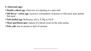 5. Abnormal eggs:
✓Double yolked egg: when two ova ripening at a same time
✓Off flavor / rotten egg: excessive consumption of grasses or fish meal, poor quality
fish meal
✓Soft shelled egg: Deficiency of Ca, P, Mg or Vit D
✓Meat spot/blood spot: rupture of a blood vessel on the yolk surface
✓Pale yolk: due to anemia or lack of carotene
Boby Basnet/Assistant Professor/Animal Science
 