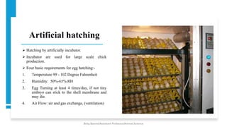 Artificial hatching
➢ Hatching by artificially incubator.
➢ Incubator are used for large scale chick
production.
➢ Four basic requirements for egg hatching:-
1. Temperature 99 - 102 Degree Fahrenheit
2. Humidity: 50%-65% RH
3. Egg Turning at least 4 times/day, if not tiny
embryo can stick to the shell membrane and
may die.
4. Air Flow: air and gas exchange, (ventilation)
Boby Basnet/Assistant Professor/Animal Science
 