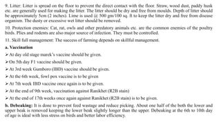 9. Litter: Litter is spread on the floor to prevent the direct contact with the floor. Straw, wood dust, paddy husk
etc. are generally used for making the litter. The litter should be dry and free from moulds. Depth of litter should
be approximately 5cm (2 inches). Lime is used @ 500 gm/100 sq. ft to keep the litter dry and free from disease
organism. The dusty or excessive wet litter should be removed.
10. Protection enemies: Cat, rat, owls and other predatory animals etc. are the common enemies of the poultry
birds. Plies and rodents are also major source of infection. They must be controlled.
11. Skill full management: The success of farming depends on skillful management.
a. Vaccination
➢At day old stage marek’s vaccine should be given.
➢On 5th day F1 vaccine should be given.
➢At 3rd week Gumboro (IBD) vaccine should be given.
➢At the 6th week, fowl pox vaccine is to be given
➢At 7th week IBD vaccine once again is to be given.
➢At the end of 9th week, vaccination against Ranikhet (R2B stain)
➢At the end of 17th weeks once again against Ranikhet (R2B stain) is to be given.
b. Debeaking: It is done to prevent feed wastage and reduce picking. About one half of the both the lower and
upper beak is removed keeping the lower beak slightly longer than the upper. Debeaking at the 6th to 10th day
of age is ideal with less stress on birds and better labor efficiency.
 