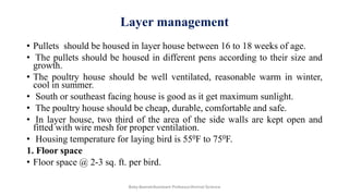 Layer management
• Pullets should be housed in layer house between 16 to 18 weeks of age.
• The pullets should be housed in different pens according to their size and
growth.
• The poultry house should be well ventilated, reasonable warm in winter,
cool in summer.
• South or southeast facing house is good as it get maximum sunlight.
• The poultry house should be cheap, durable, comfortable and safe.
• In layer house, two third of the area of the side walls are kept open and
fitted with wire mesh for proper ventilation.
• Housing temperature for laying bird is 550F to 750F.
1. Floor space
• Floor space @ 2-3 sq. ft. per bird.
Boby Basnet/Assistant Professor/Animal Science
 