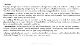 7. Culling
Culling is the procedure of selection and rejection of unproductive and poor producers. Culling is very
important job running poultry farm profitably. Poor layer should be culled to minimize the cost of production.
The chances that should taken into consideration for distinguishing good and poor layers are as follows:
1. Appearance: we can get an idea about the health and vigor of the birds by its appearance. The healthy
birds is more active, more alert, vigorous, well fleshed but not fatty, tight feathering. Deviation of any of this
characteristics is the indication of poor layers.
2. Moulting: Moulting provides an indication about the laying capacity of a bird. It is natural and
physiological process to renew old feather at the end of first year of laying. Early moulters are usually poor
layer, where as late moulters are usually good layers.
3. Pigmentation: Yellow pigmentation of the skin surface especially vent, eye ring and ear lobes, shanks etc.
is due to carotenoid pigment known as xanthophyll coming from the ration of poultry bird containing yellow
maize. It provides an indication about the good laying ability of poultry birds.
4. Sexual maturity: Sexual maturity is meant the duration between the date a pullet is hatched and the date
she lays her first egg. The birds that mature early make good layers.
Boby Basnet/Assistant Professor/Animal Science
 