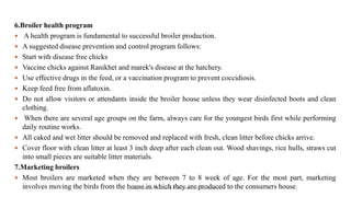 6.Broiler health program
 A health program is fundamental to successful broiler production.
 A suggested disease prevention and control program follows:
 Start with disease free chicks
 Vaccine chicks against Ranikhet and marek's disease at the hatchery.
 Use effective drugs in the feed, or a vaccination program to prevent coccidiosis.
 Keep feed free from aflatoxin.
 Do not allow visitors or attendants inside the broiler house unless they wear disinfected boots and clean
clothing.
 When there are several age groups on the farm, always care for the youngest birds first while performing
daily routine works.
 All caked and wet litter should be removed and replaced with fresh, clean litter before chicks arrive.
 Cover floor with clean litter at least 3 inch deep after each clean out. Wood shavings, rice hulls, straws cut
into small pieces are suitable litter materials.
7.Marketing broilers
 Most broilers are marketed when they are between 7 to 8 week of age. For the most part, marketing
involves moving the birds from the house in which they are produced to the consumers house.
Boby Basnet/Assistant Professor/Animal Science
 