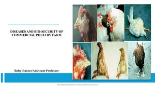 DISEASES AND BIO-SECURITY OF
COMMERCIAL POULTRY FARM
Boby Basnet/Assistant Professor
Boby Basnet/Assistant Professor/Animal Science
 