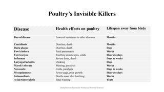 Poultry’s Invisible Killers
Boby Basnet/Assistant Professor/Animal Science
 