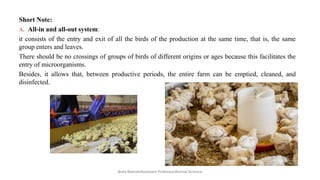 Short Note:
A. All-in and all-out system:
it consists of the entry and exit of all the birds of the production at the same time, that is, the same
group enters and leaves.
There should be no crossings of groups of birds of different origins or ages because this facilitates the
entry of microorganisms.
Besides, it allows that, between productive periods, the entire farm can be emptied, cleaned, and
disinfected.
Boby Basnet/Assistant Professor/Animal Science
 
